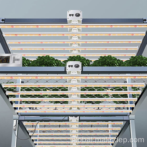 House Plant Led Grow Light Dimming Setup